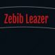 Zebib leather | ዘቢብ ሌዘር የቆዳ ውጤቶች