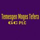 Temesgen Moges Tefera  General Construction | ተመስገን ሞገስ ተፈራ  ጠቅላላ ስራ ተቋራጭ ህ.ሽ.ማ