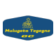 Mulugeta Tegegne General Construction | ሙሉጌታ ተገኘ ጠቅላላ ስራ ተቋራጭ