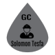 Solomon Tesfa General Construction | ሰለሞን ተስፋ ጠቅላላ ስራ ተቋራጭ