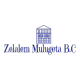 Zelalem Mulugeta Building Construction | ዘላለም ሙሉጌታ ህንጻ ስራ ተቋራጭ