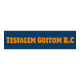 Tesfalem Goitom Building Construction | ተስፋአለም ጎይቶኦም ህንጻ ስራ ተቋራጭ
