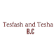 Tesfash and Tesha B.C | ተስፍሽ እና ተሼ ህንጻ ስራ ተቋራጭ