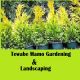 Tewabe Mamo Degu  Gardening and Landscaping | ተዋበ ማሞ ችግኝ ማፍላት እና ገፀ ምድር ማስዋብ ስራ