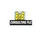 BNB CONSULTING PLC