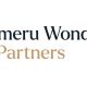 Tameru Wondm Agegnehu and Partners Legal Service Limited Liability Partnership