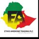 ኢትዮ አምሮን ትሬዲንግ ኃ/የተ/የግ/ማ