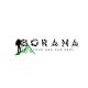 Borana Tour and Car Rent