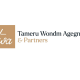 Tameru Wondm Agegnehu and Partners Legal Service Limited Liability Partnership