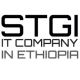 Solomon Tsegaye General Import (STGI)