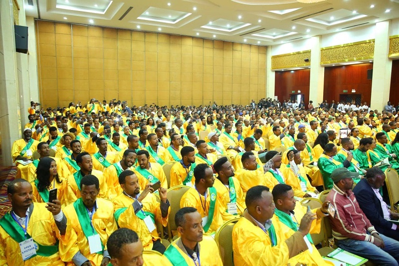 Addis Ababa Enterprises