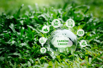 Carbon Credit