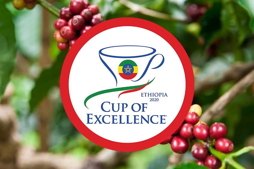 Cup-of-Excellence-Ethiopia