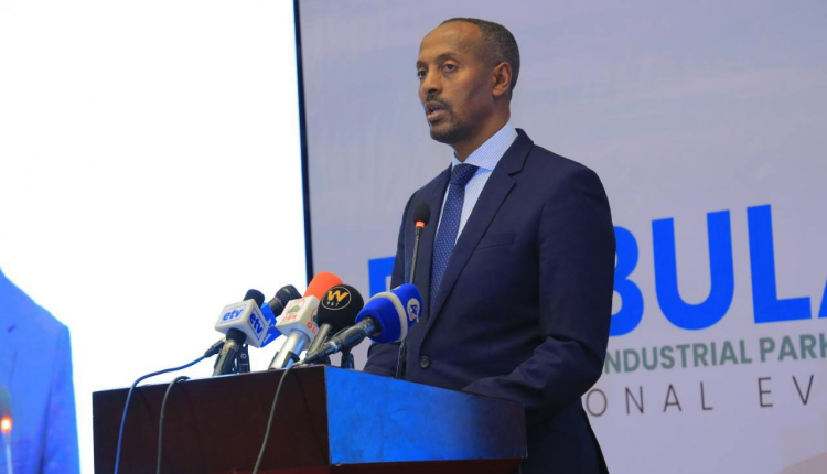 Melaku Alebel Bulbula IAIP