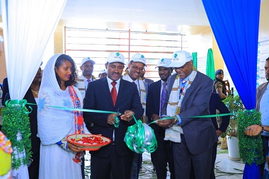 Sidama Bank
