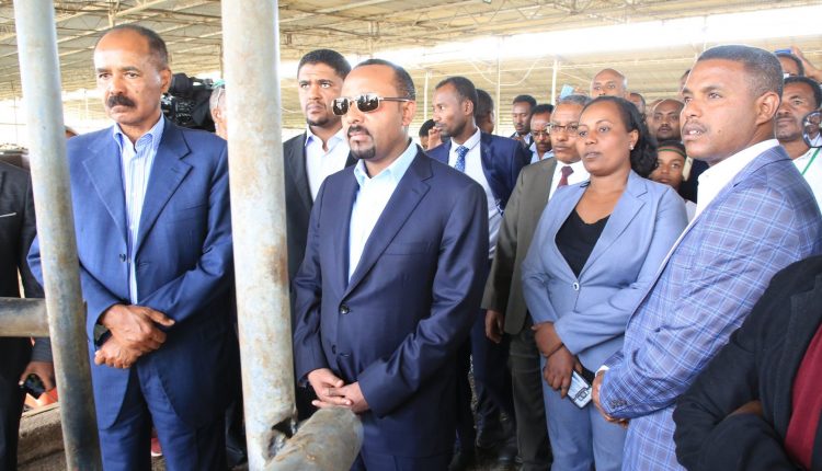 abiy-isaias-adama-industrial-park