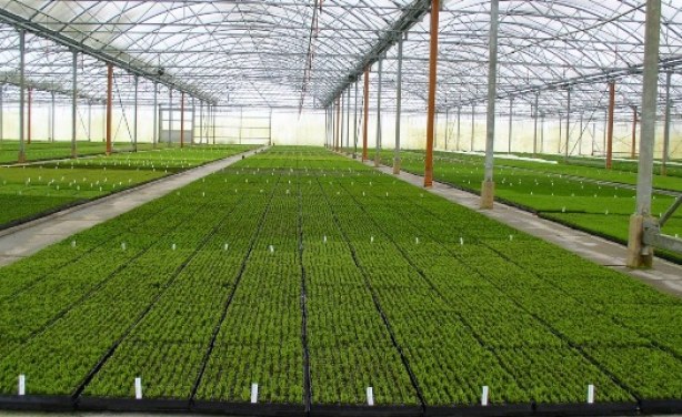 agro-industry-park-gen