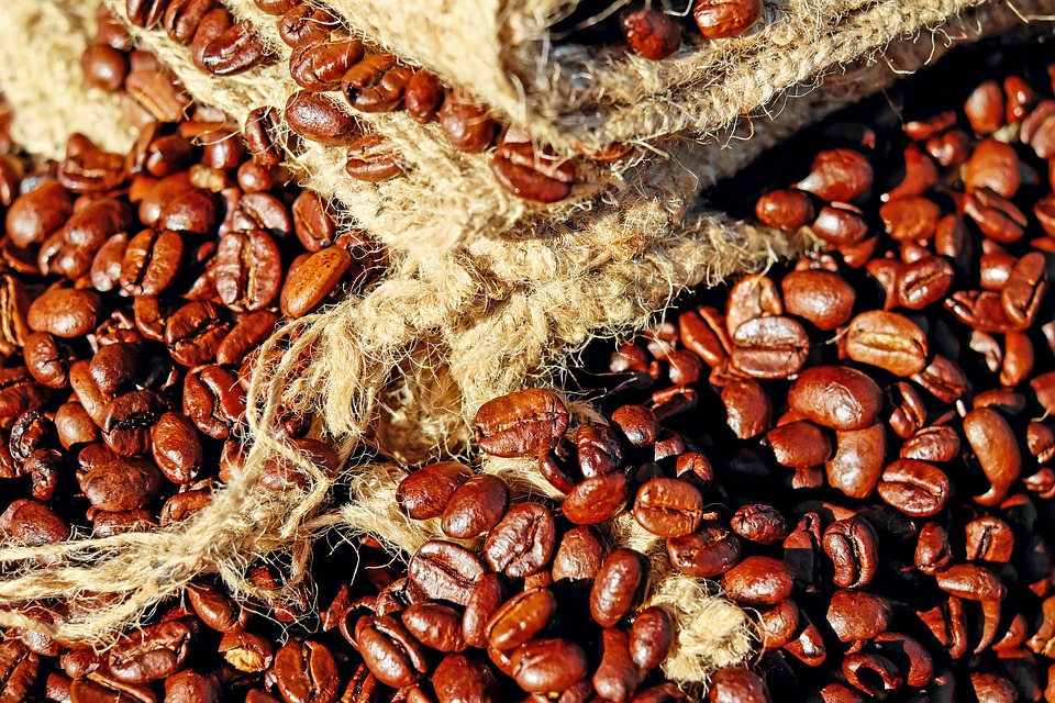 Ethiopia: Coffee Exports Garner USD 140 Million