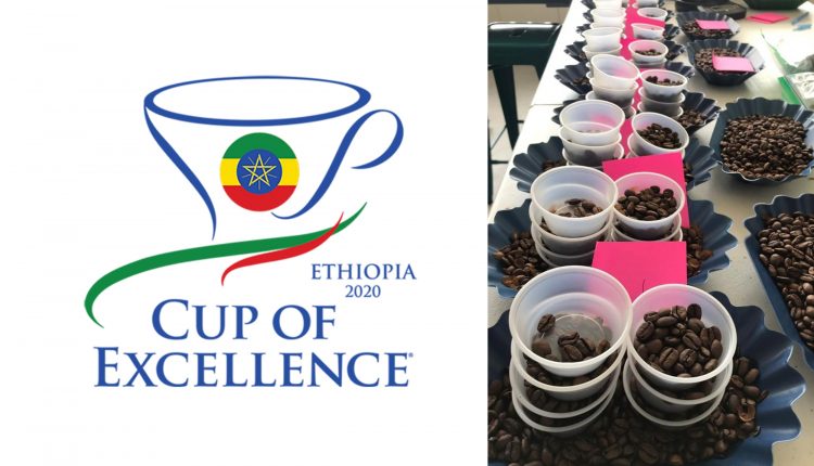 coffeee-cup-of-excellence-2020