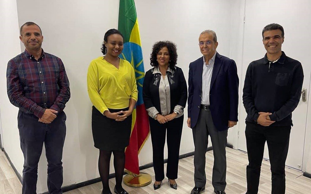 dolidol-technostyle-deal