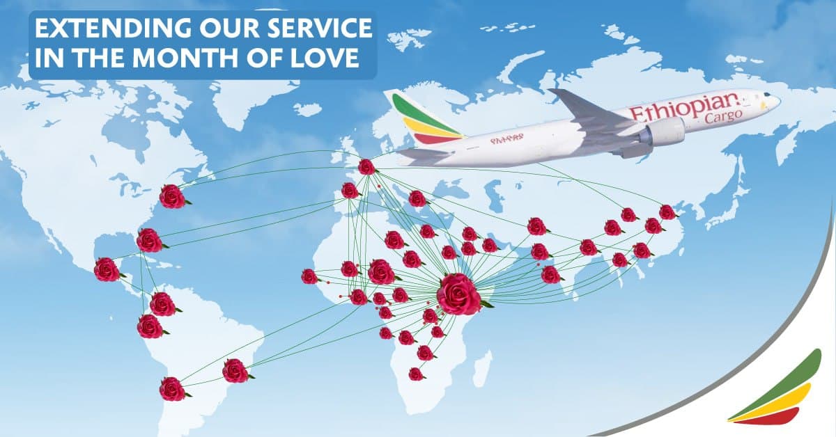 ethiopian-valentines-month-flower-flights