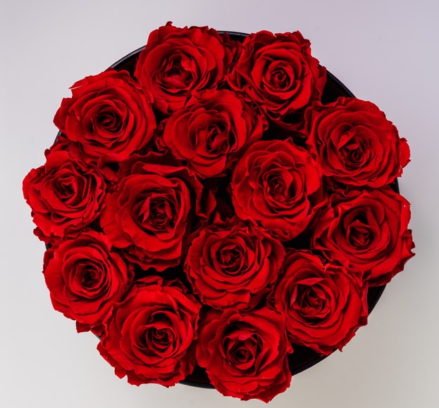 red-roses